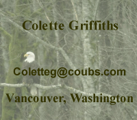 Colette Griffiths - Cocoa's Pride