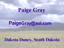 Paige Gray -Shades of Gray Enterprises