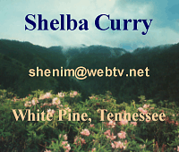 Shelba Curry