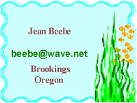 Jean Beebe (Jean Beebe Originals)